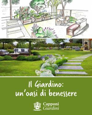 Il Giardino: un'oasi di benessere e bellezza da progettare con cura